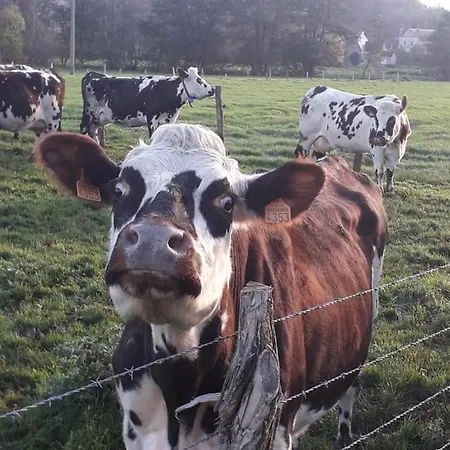 Chambres D'hotes Domaine Du Hutrel Vaux-sur-Aure