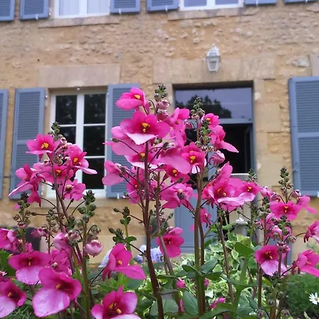 Oda ve Kahvaltı Chambres D'hotes Domaine Du Hutrel