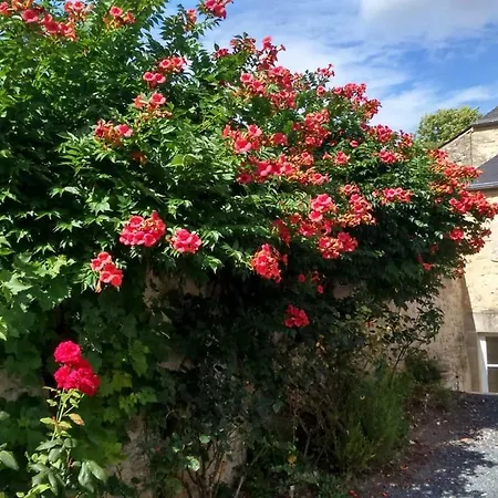Chambres D'hotes Domaine Du Hutrel Vaux-sur-Aure