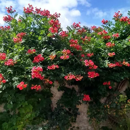 Chambres D'hotes Domaine Du Hutrel Oda ve Kahvaltı