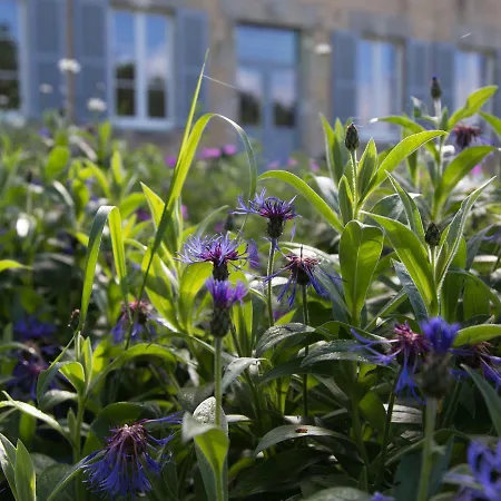Chambres D'hotes Domaine Du Hutrel Oda ve Kahvaltı Vaux-sur-Aure