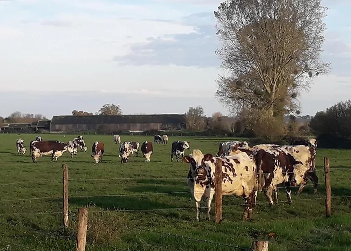 Chambres D'hotes Domaine Du Hutrel Bed and Breakfast Vaux-sur-Aure