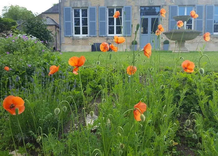 Chambres D'hotes Domaine Du Hutrel Vaux-sur-Aure