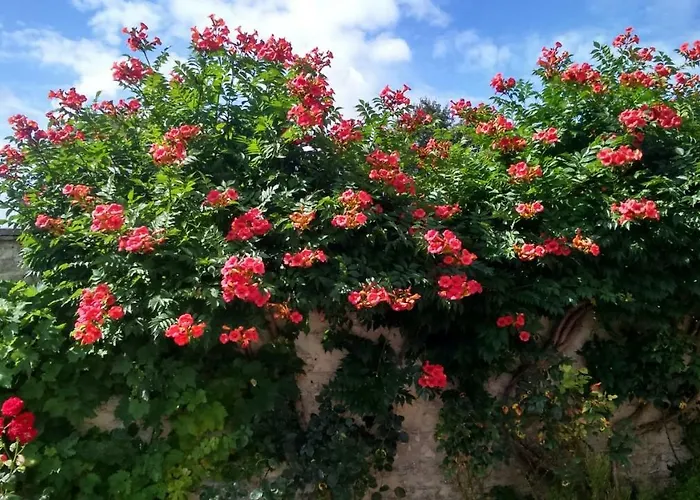 Chambres D'hotes Domaine Du Hutrel Bed & Breakfast