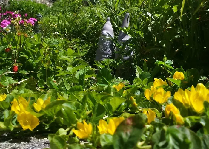 Chambres D'hotes Domaine Du Hutrel Bed and Breakfast Vaux-sur-Aure