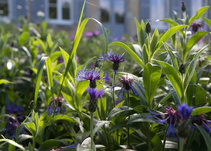 Chambres D'hotes Domaine Du Hutrel Bed & Breakfast Vaux-sur-Aure