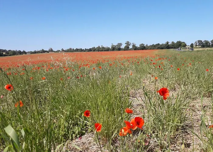 Chambres D'hotes Domaine Du Hutrel 3*