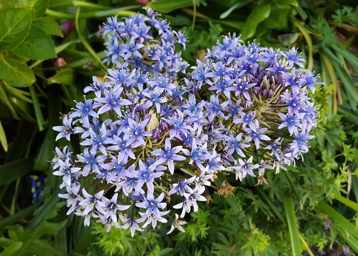 Chambres D'hotes Domaine Du Hutrel Bed and Breakfast